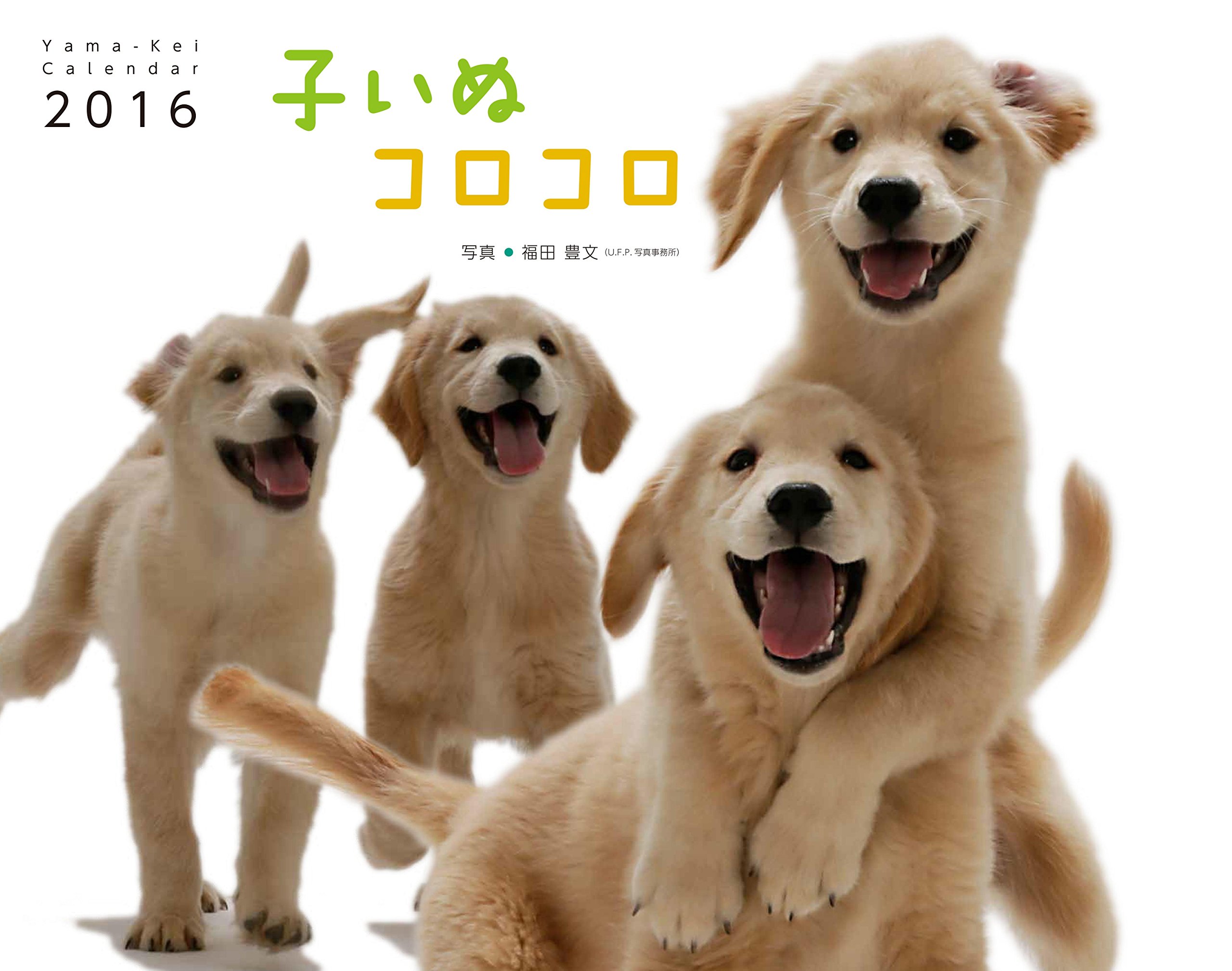 イヌ好きさんにイチオシのカレンダー（子犬編） 5選（2016年版）