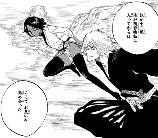 【BLEACH】幼馴染カップル？浦原喜助と四楓院夜一のカップリングイラストまとめ【ブリーチ】