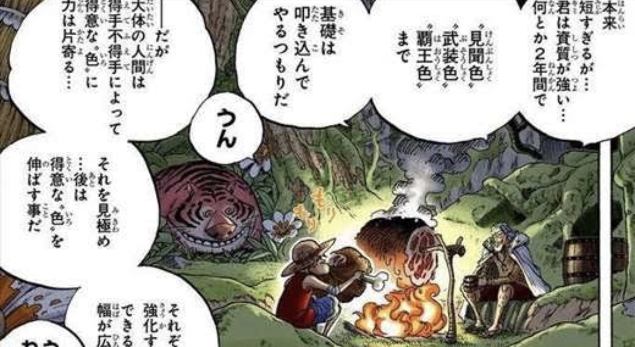 【ONE PIECE】ワンピースの覇気（武装色・見聞色・覇王色）について