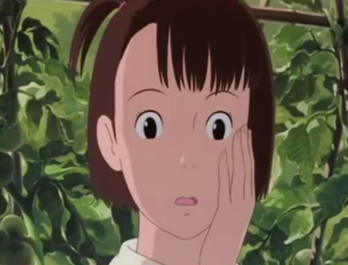 おもひでぽろぽろ セル画 ジャンク品 Amazon.co.jp: おもひでぽろぽろ