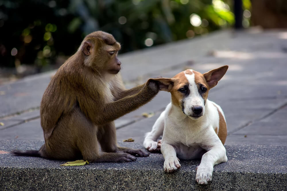 【犬猿の仲】意外な人物も！？芸能界の共演NGまとめ