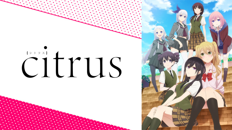 citrus / シトラス