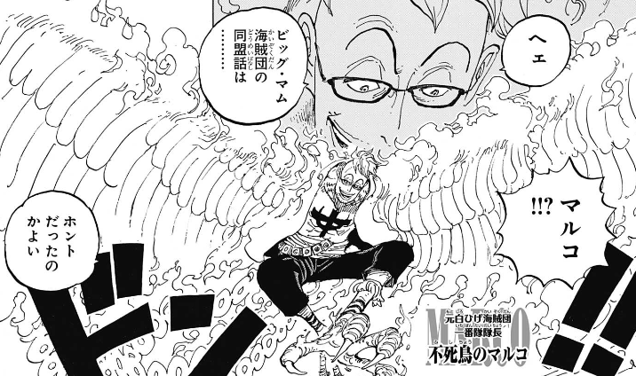 【ONE PIECE】元白ひげ海賊団一番隊隊長・マルコの現在、能力まとめ【ワンピース】