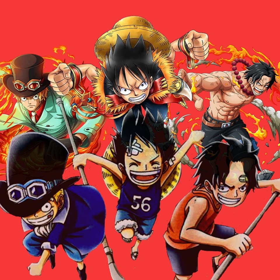 【ONE PIECE】盃兄弟のルフィ・エース・サボのアツい絆に涙…【火拳】【海賊王】