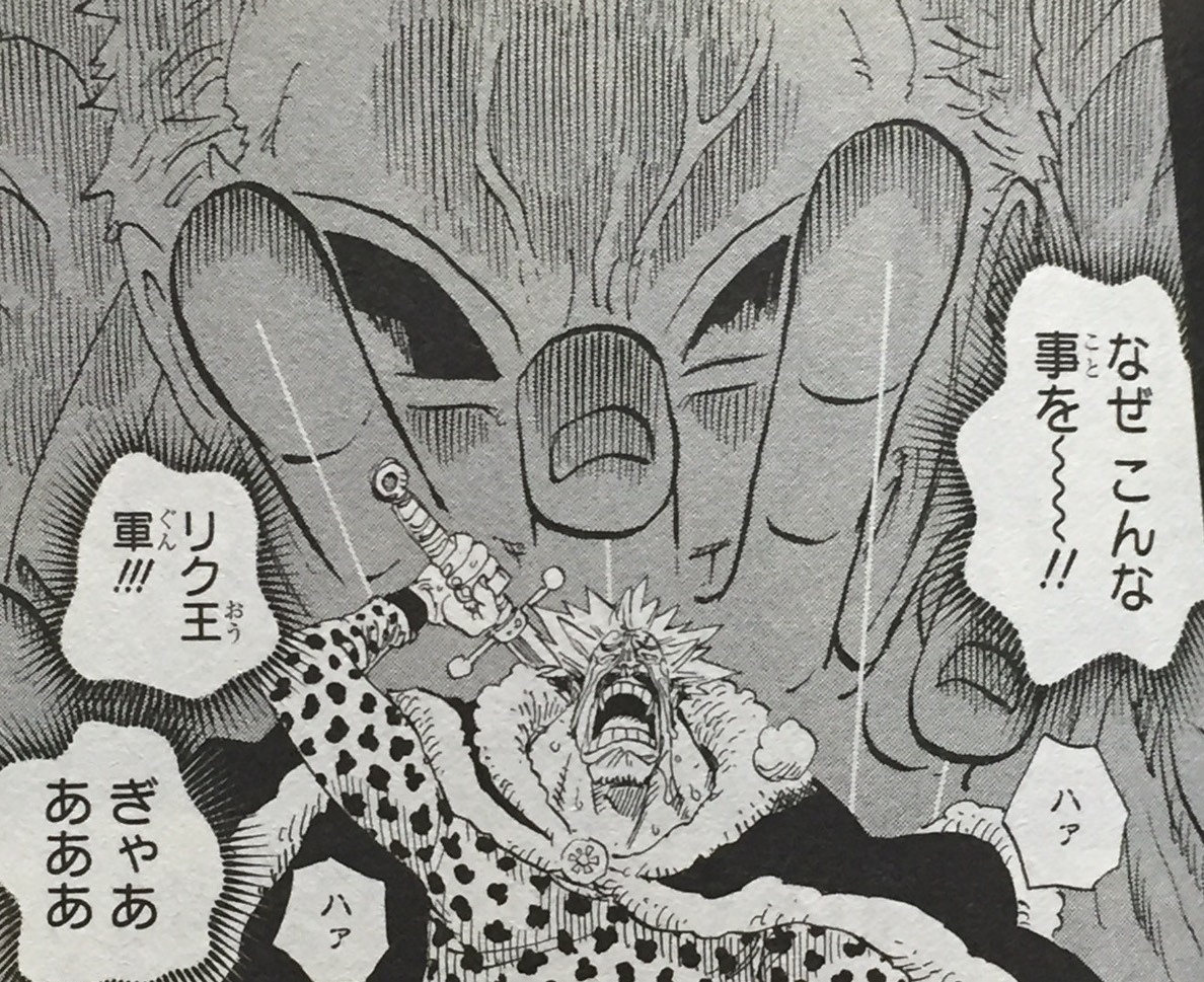 【ワンピース】第695話から第718話「お花畑のリク王軍」までのネタバレまとめ【ONE PIECE】