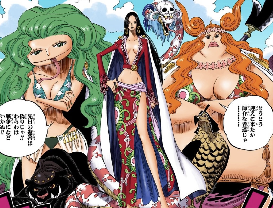 【ONE PIECE】絶世の美女ハンコックが統治するアマゾン・リリーとは【ワンピース】