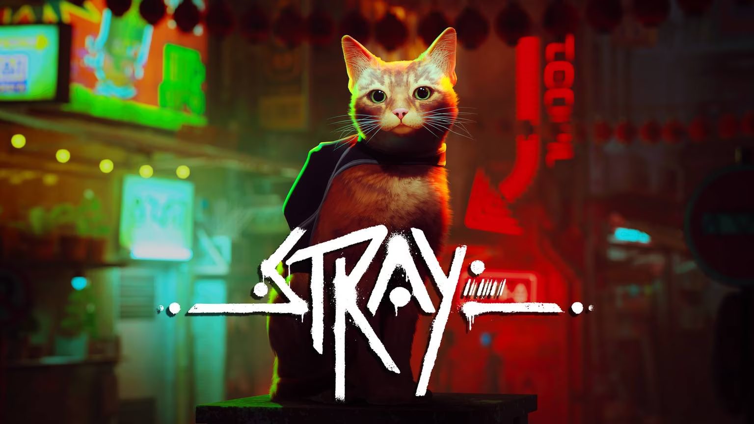 Stray / ストレイ