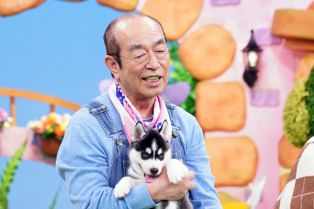 「天才！志村どうぶつ園」に出演した豆柴を500匹飼ってるブリーダーが炎上！多頭飼育崩壊などを恐れ批判殺到