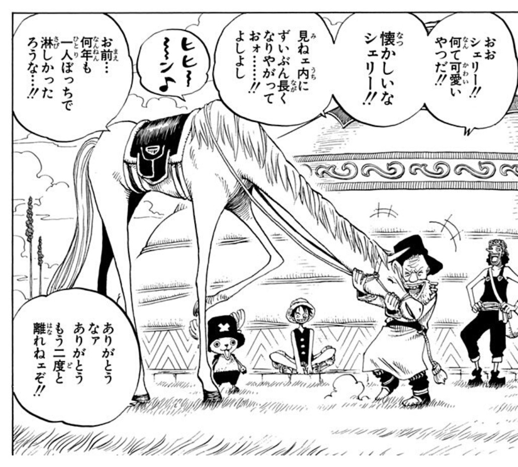 シェリー（ONE PIECE）の徹底解説・考察まとめ