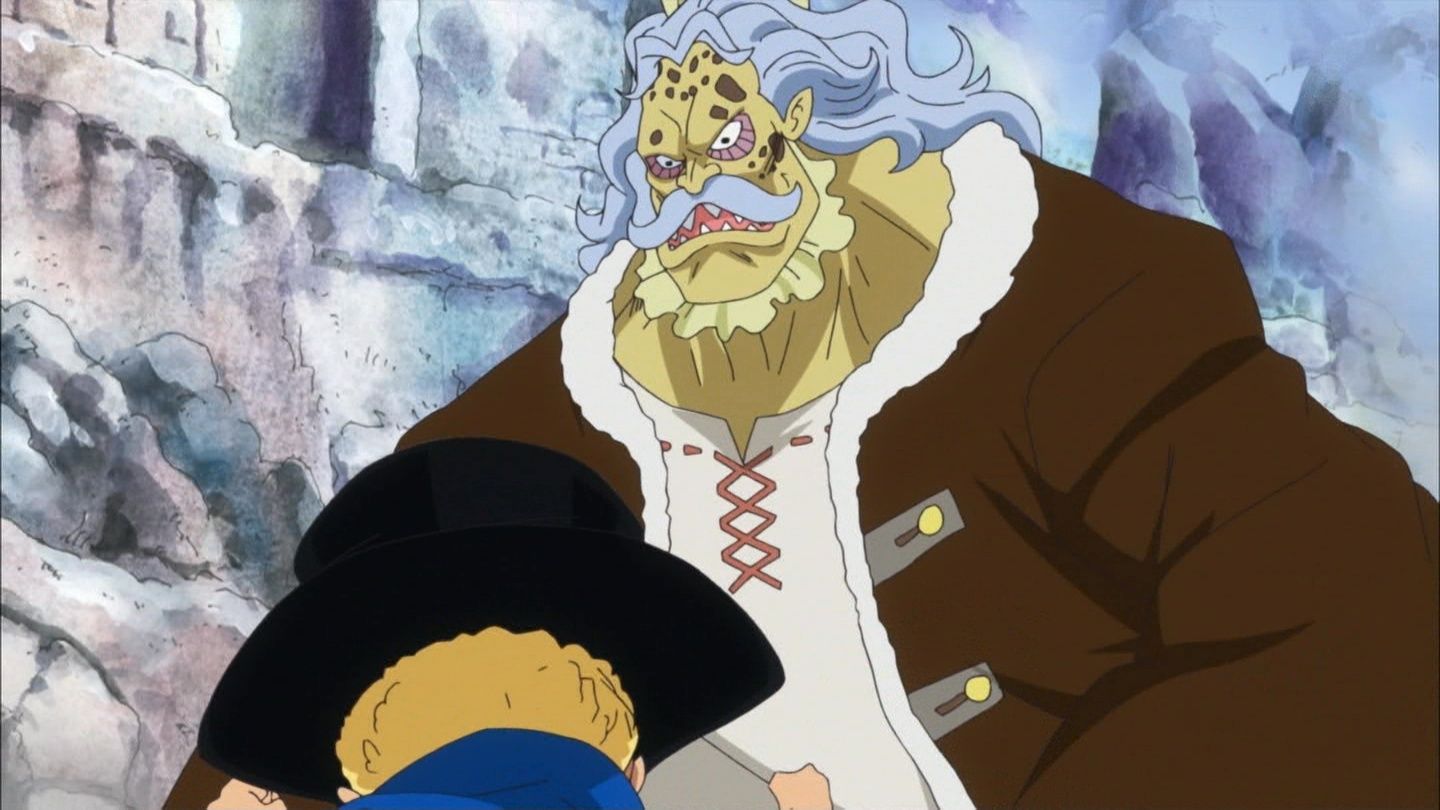 ハック（ONE PIECE） / Hack (One Piece)