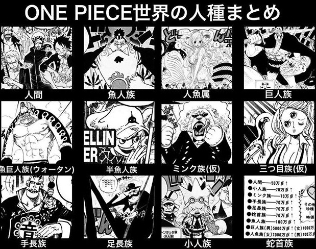 ONE PIECE（ワンピース）の種族とそのキャラクターまとめ