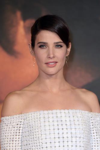 コビー・スマルダーズ / Cobie Smulders