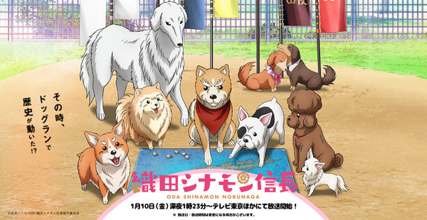 織田シナモン信長