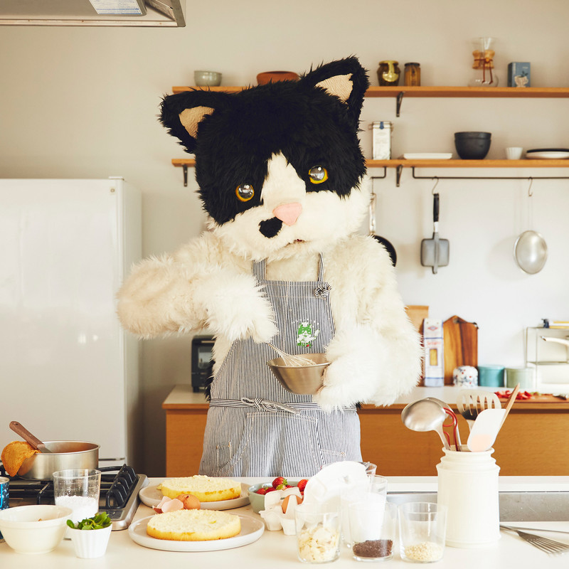 むぎ（猫） / Mugi The Cat