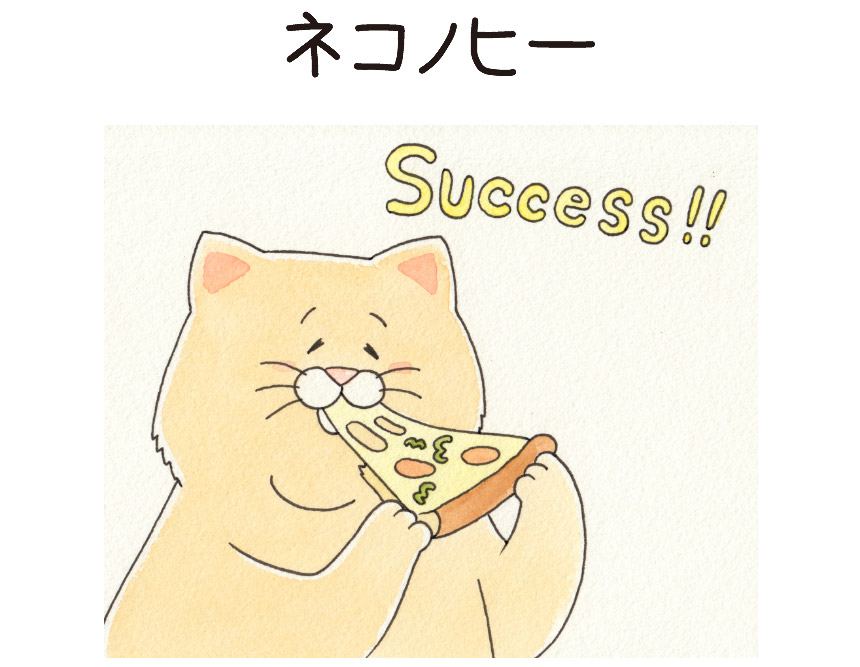 ネコノヒー