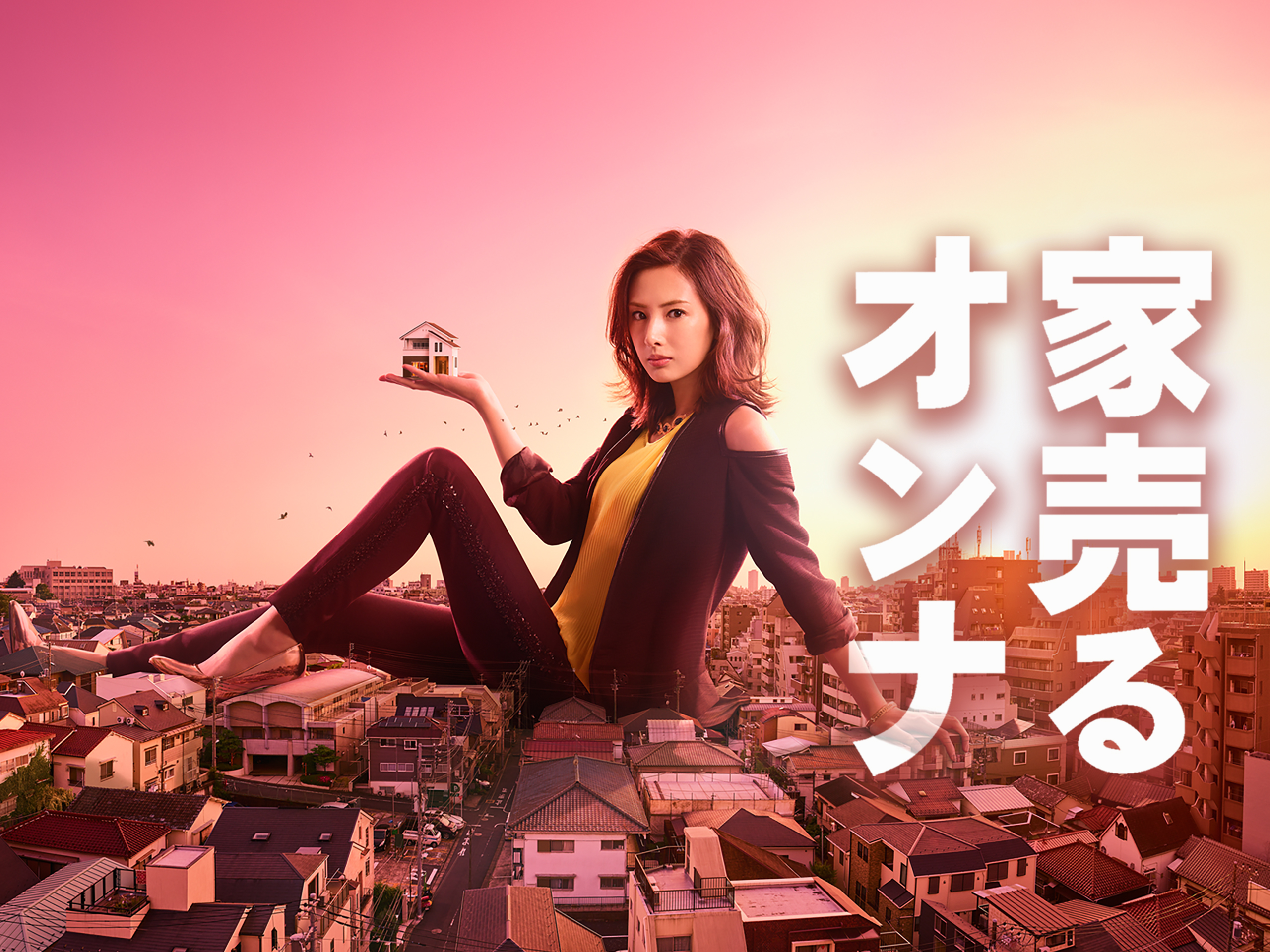 家売るオンナシリーズ