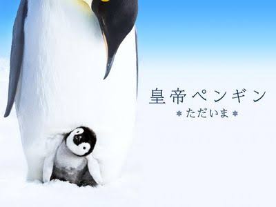 皇帝ペンギン ただいま
