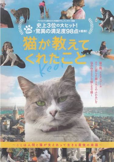 猫が教えてくれたこと