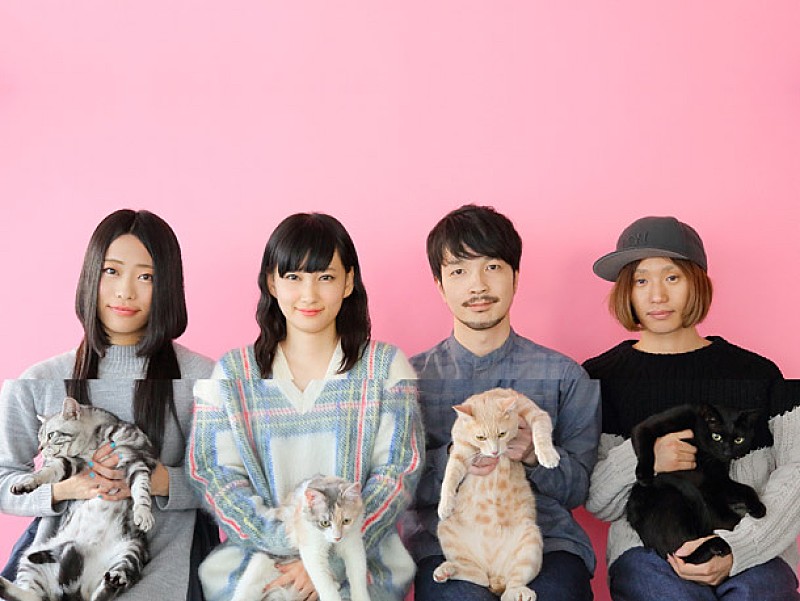 きのこ帝国（Kinoko Teikoku）の徹底解説まとめ