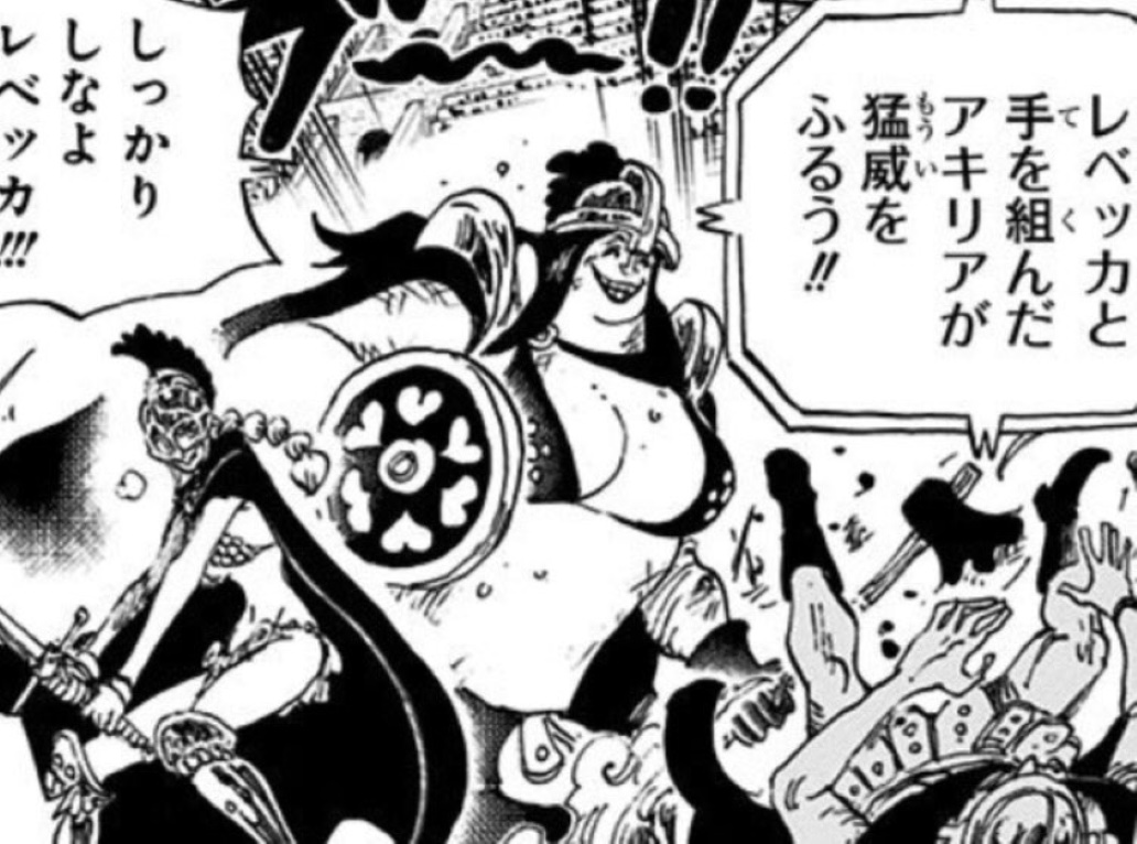 ワンピース 剣 闘士