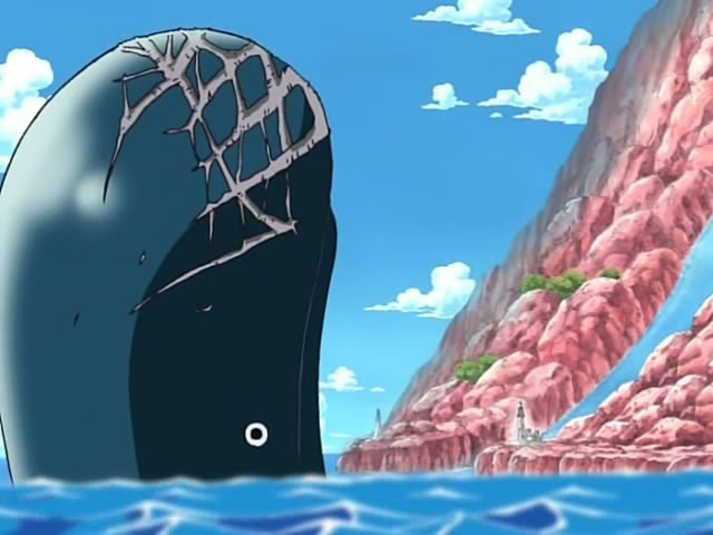 ONE PIECE RENOTE ONE PIECE RENOTE