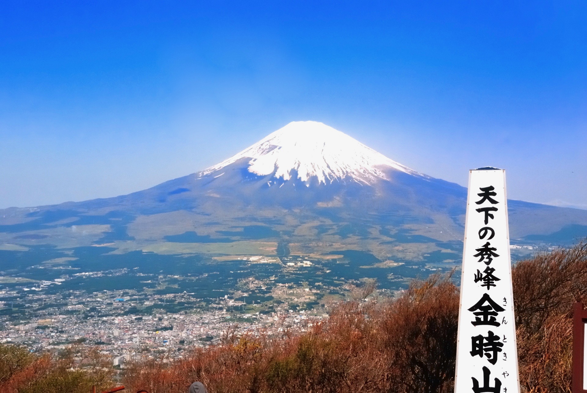 【スタジオジブリ】まるで『もののけ姫』のような世界が広がる金時山を紹介！東京からも気軽にアクセス可能