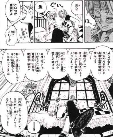 Dr くれは ドクトリーヌ One Piece の徹底解説 考察まとめ Renote リノート