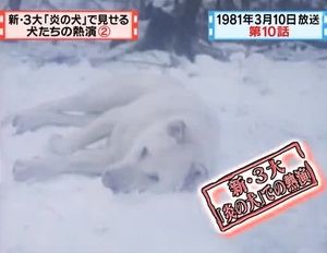 マツコ 有吉の怒り新党 新 3大 調査会の歴史まとめ 8 11 Renote リノート