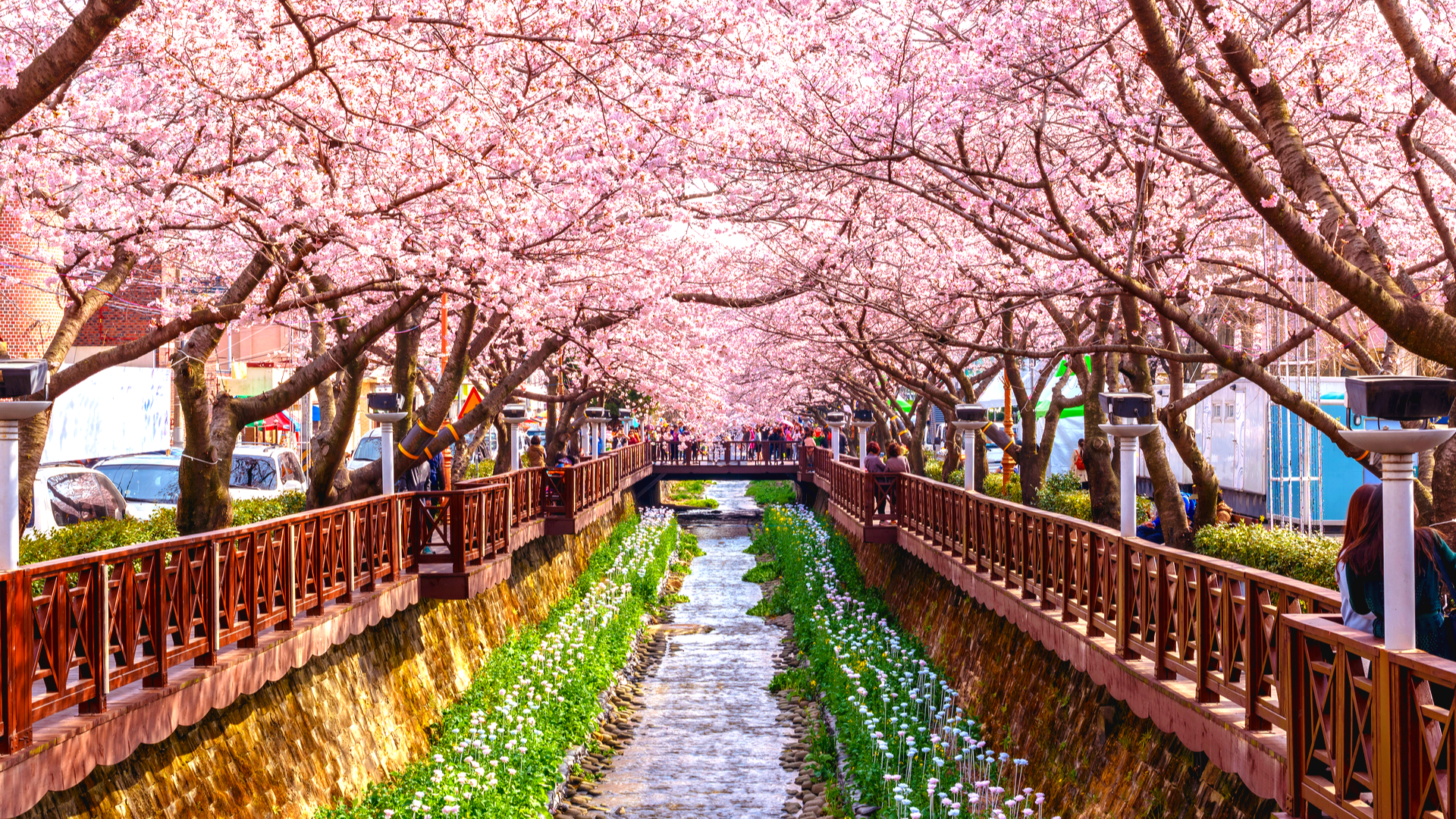 【ボカロ】桜がテーマのVOCALOIDソング集！和を感じられるオススメ曲10選！【桜の季節】