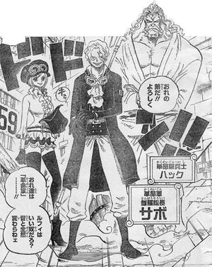 ワンピース サボとシャンクスもdの一族 明らかになる血縁 One Piece考察 Renote リノート