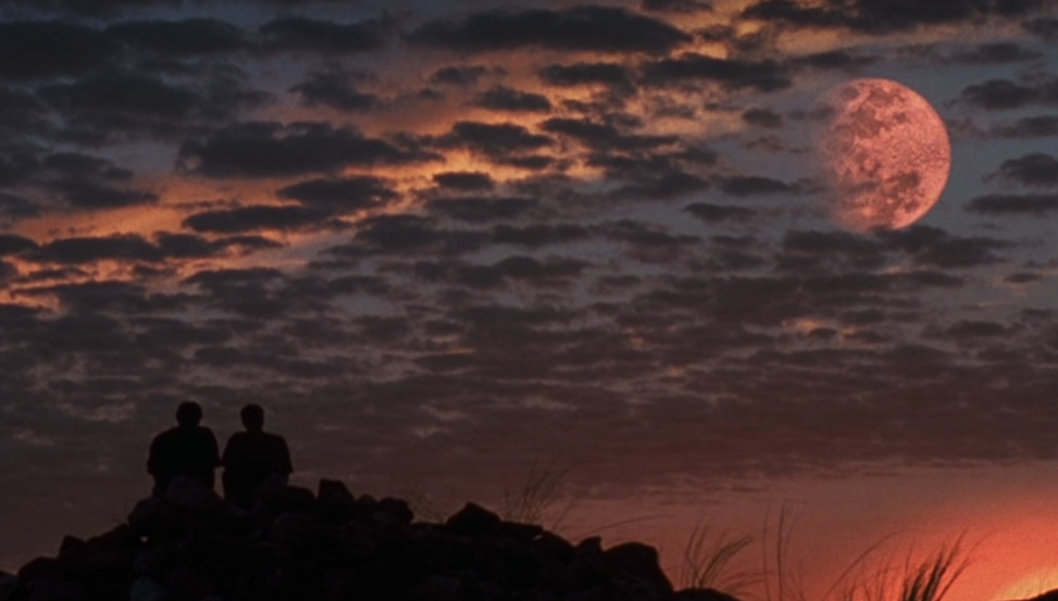 トゥルーマン ショー 映画 のネタバレ解説 考察まとめ 4 5 Renote リノート