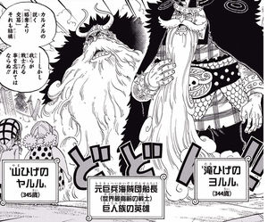 One Piece ワンピース に登場する主要登場人物 キャラクターの年齢まとめ Renote リノート