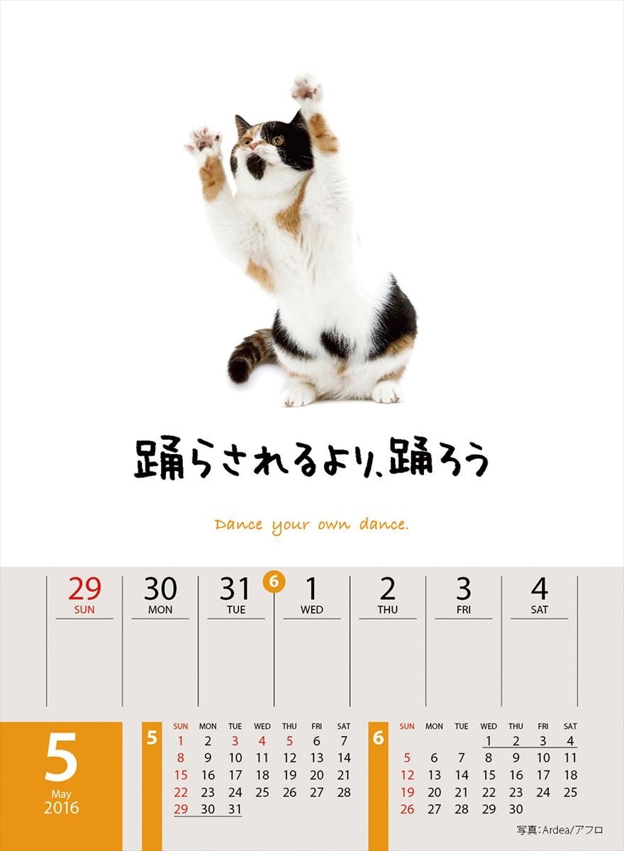 ネコ好きさんにイチオシのカレンダー 5選 16年版 Renote リノート