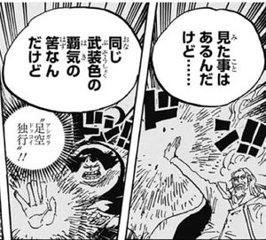 One Piece ワンピース ワノ国の覇気 流桜 とは 2 2 Renote リノート